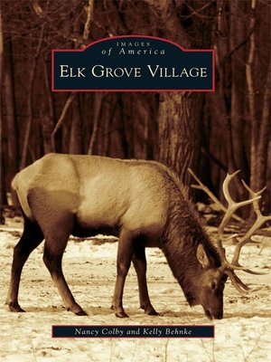 cover image of Elk Grove Village